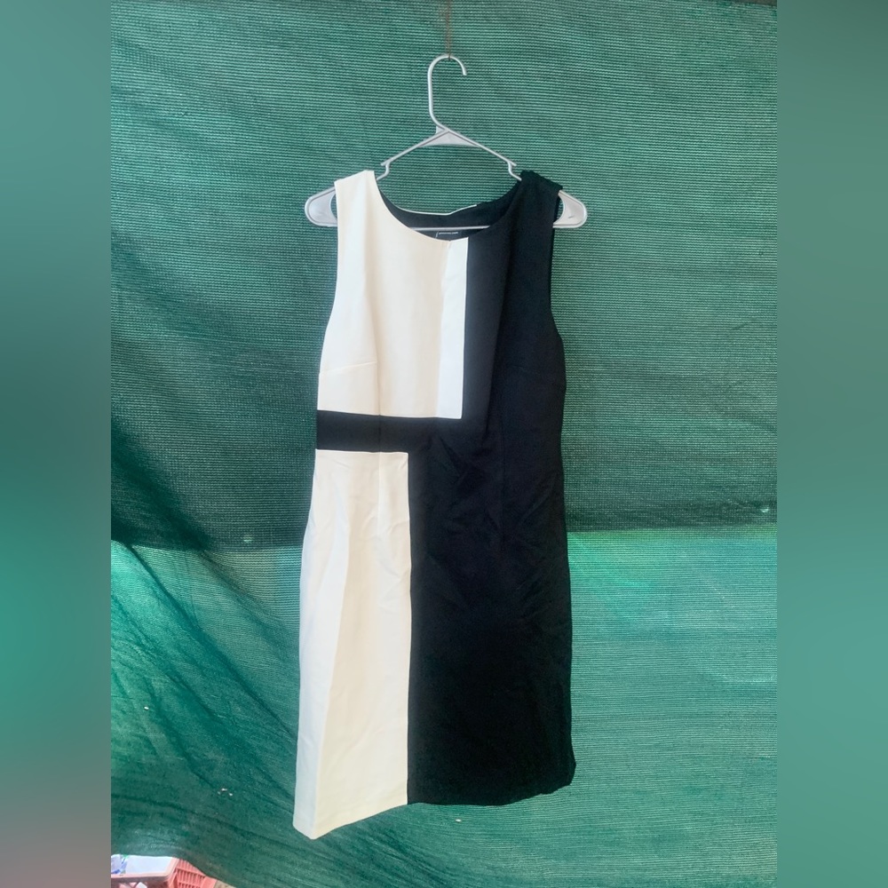 Blk/Wht Inc Dress